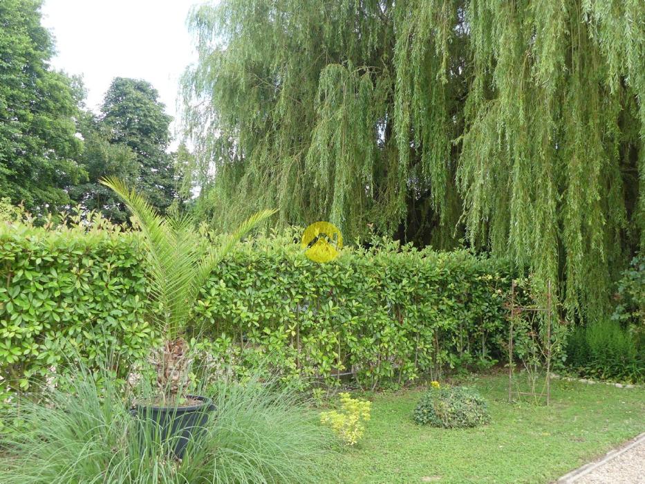 JOLI TERRAIN DE LOISIRS