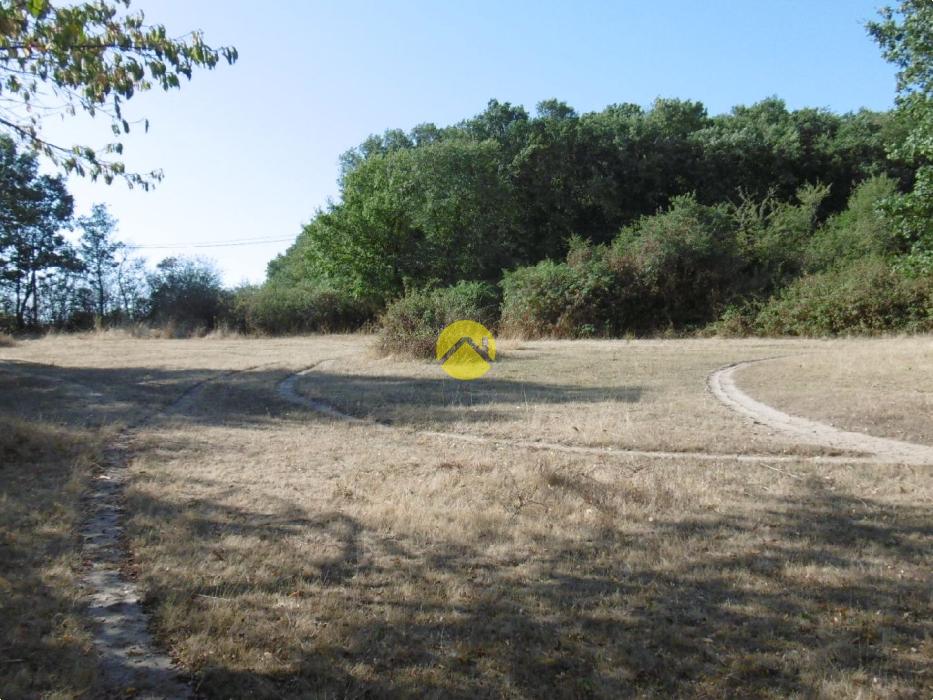 Sur prés d'un hectare