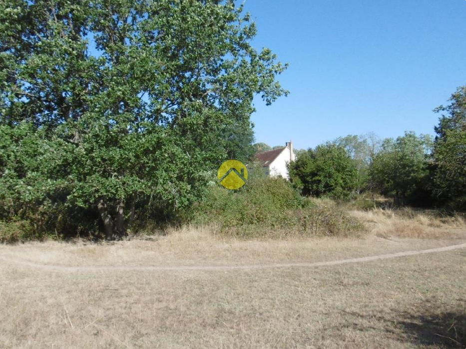 Sur prés d'un hectare