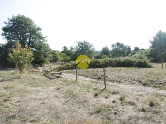 Sur prés d'un hectare