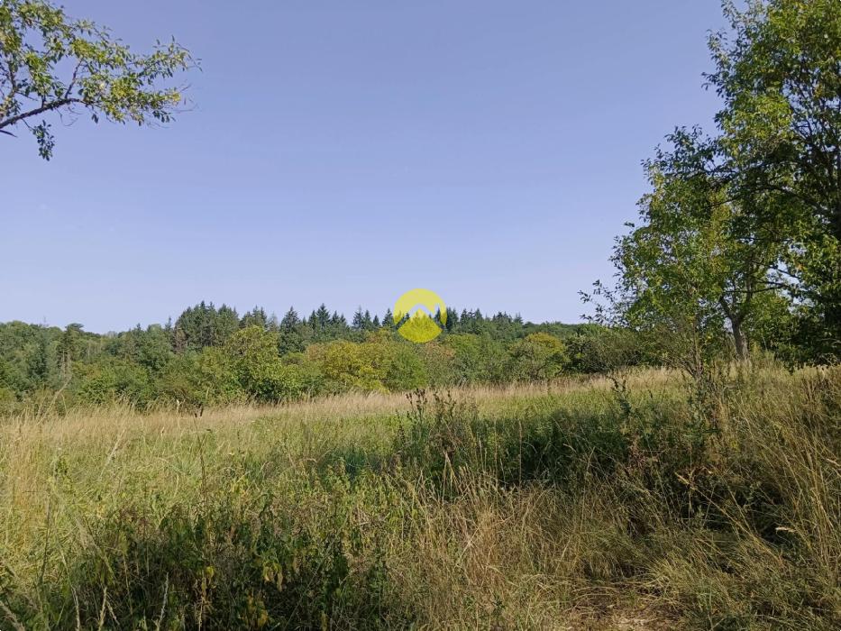 Maison+dépendances+terrain