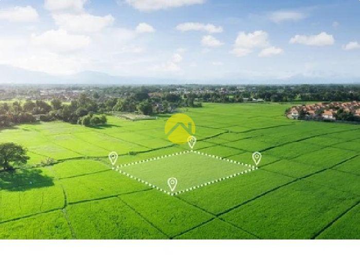 TERRAIN CONSTRUCTIBLE 1002 M2