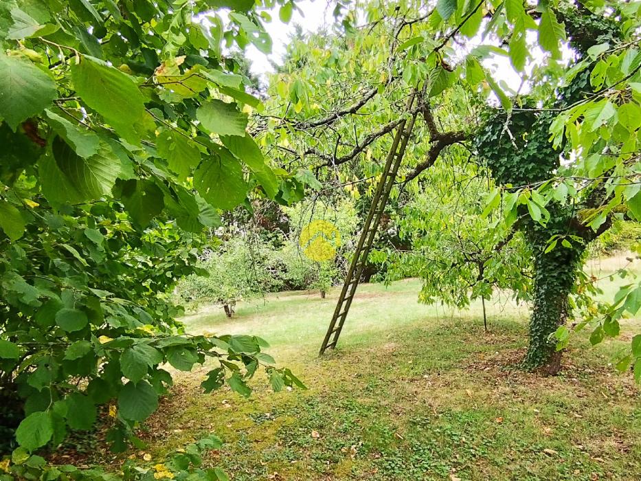 maison proche loire et canal