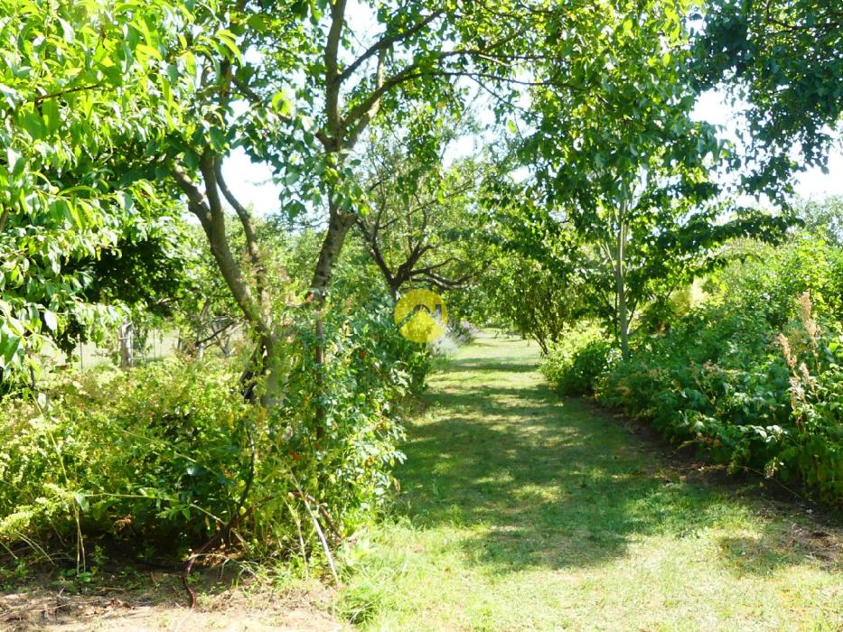 Belle maison et jardin d’exception