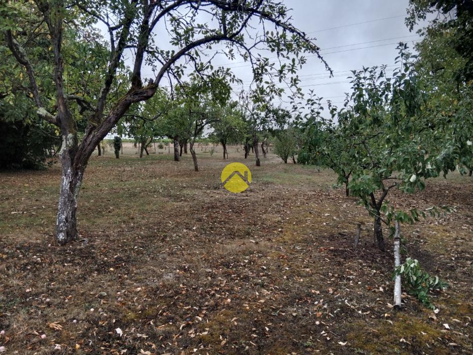 Terrain constructible+ verger