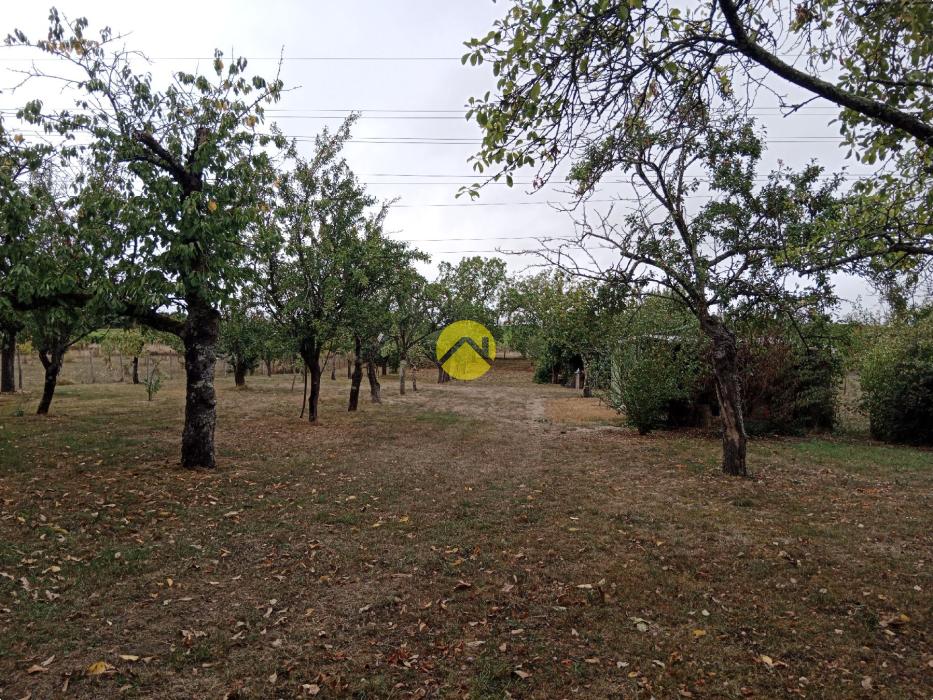 Terrain constructible+ verger