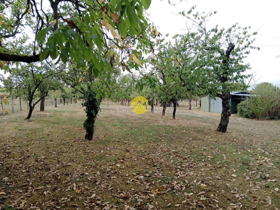 Terrain constructible+ verger