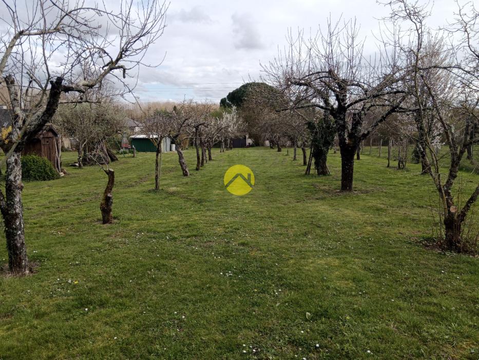 Terrain à bâtir + verger