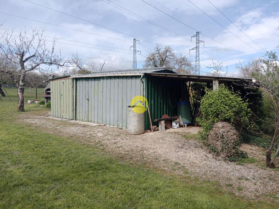 Terrain à bâtir + verger