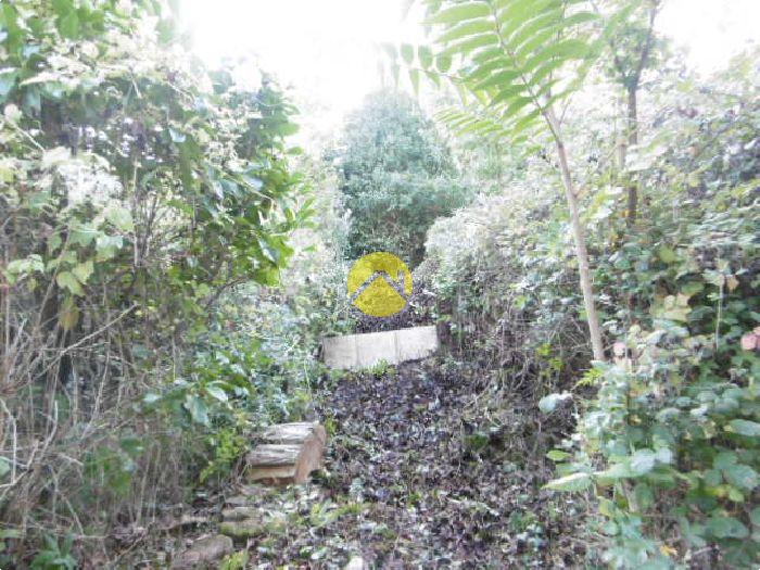 Dans un écrin de verdure