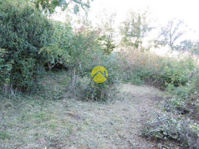 Dans un écrin de verdure