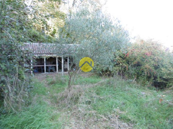 Dans un écrin de verdure