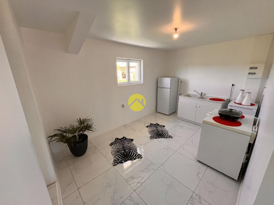 Maison rénovée avec jardin
