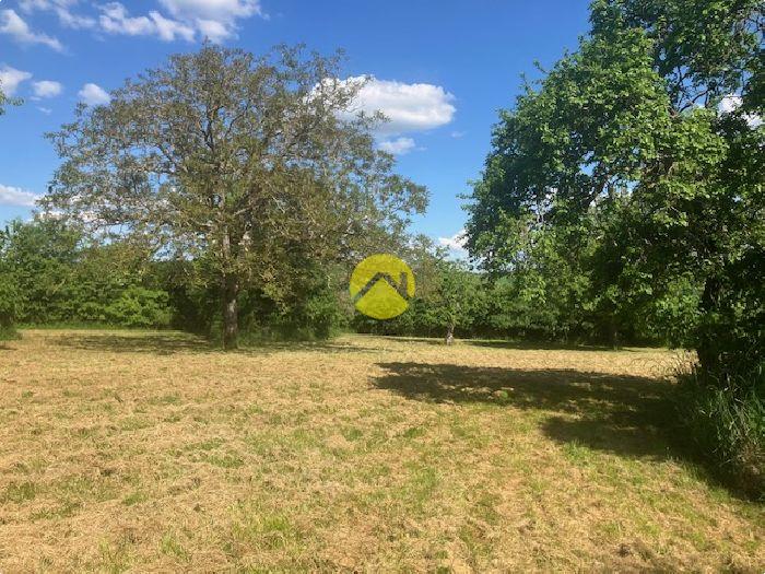Dépendances à rénover sur 3445 m²