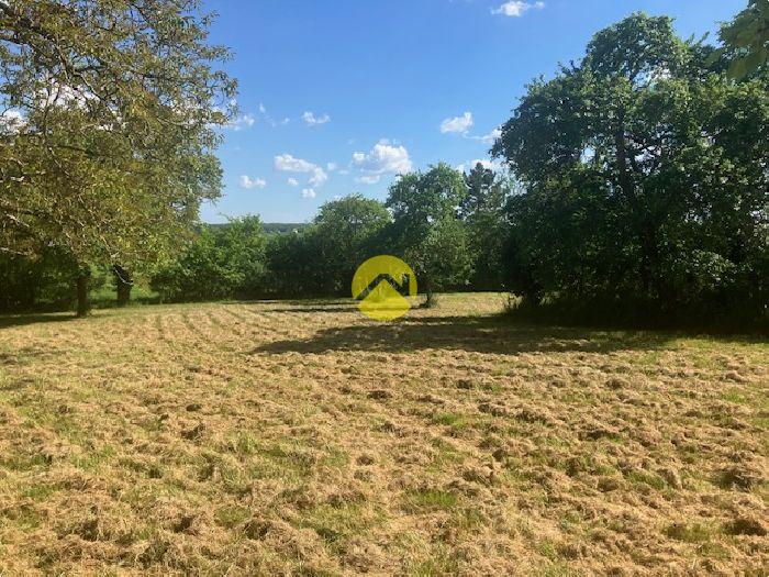 Dépendances à rénover sur 3445 m²