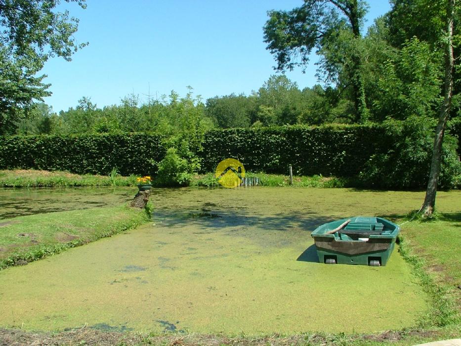 Terrain de loisir avec étang et cha
