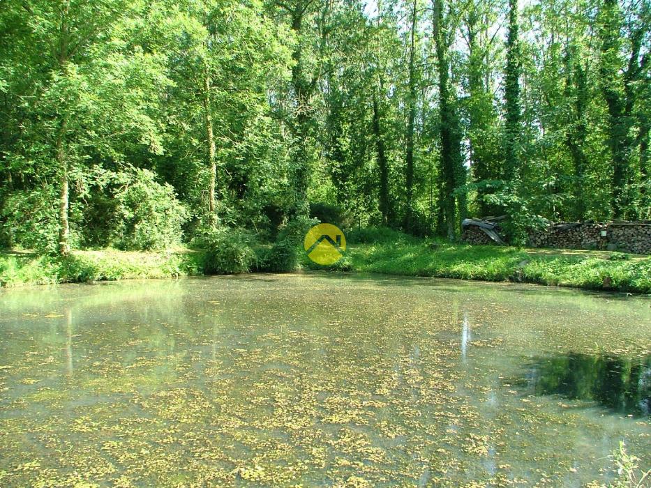 Terrain de loisir avec étang et cha