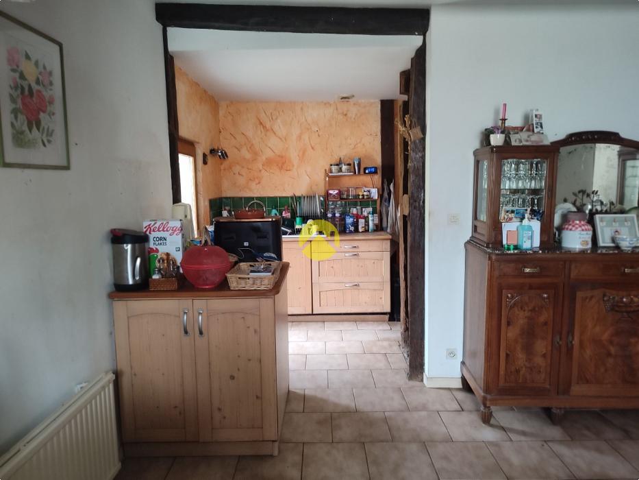 MAISON ANCIENNE AVEC GRAND TERRAIN