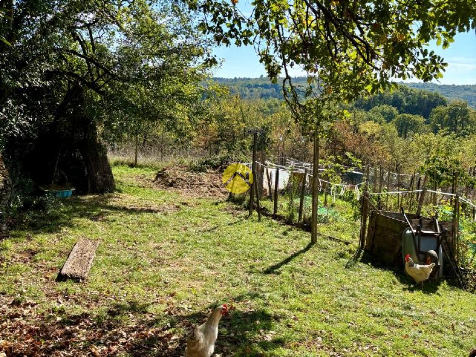 Magnifique Maison Périgourdine