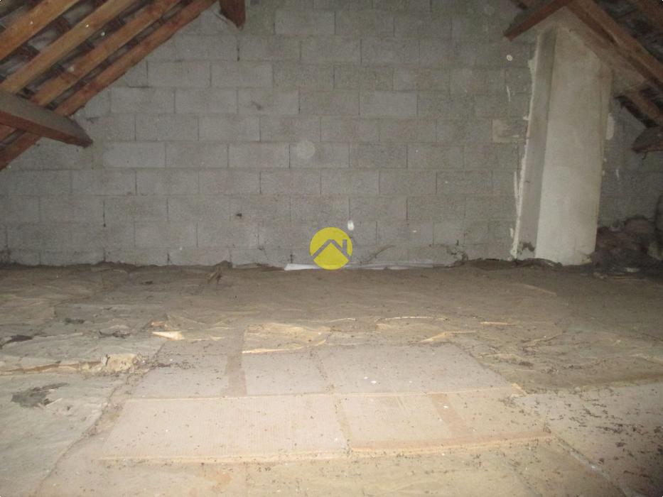 Maison et terrain arboré