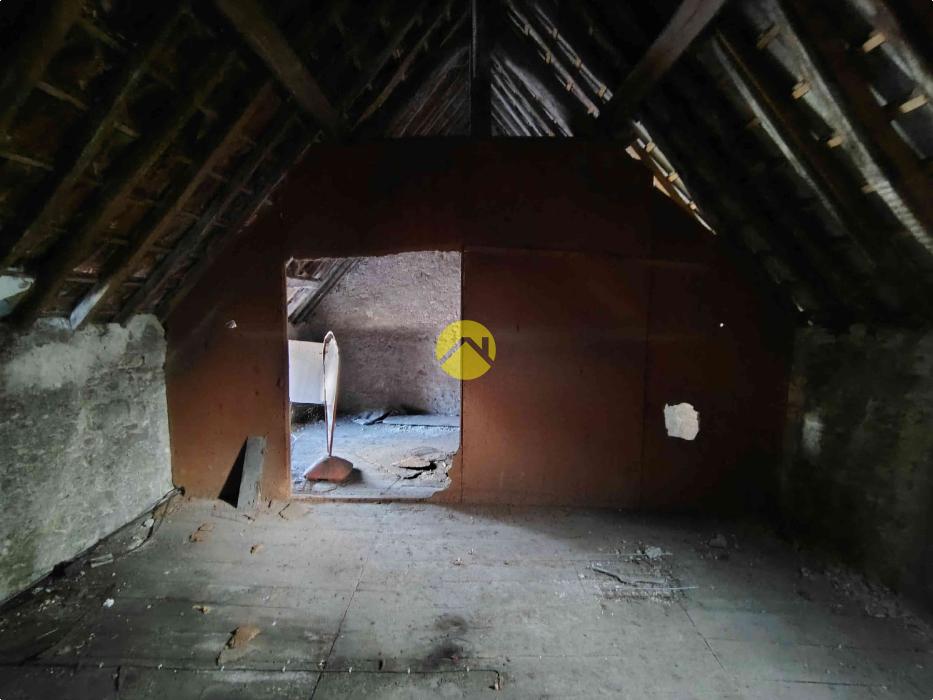 IMMEUBLE COMMERCE + HABITATION