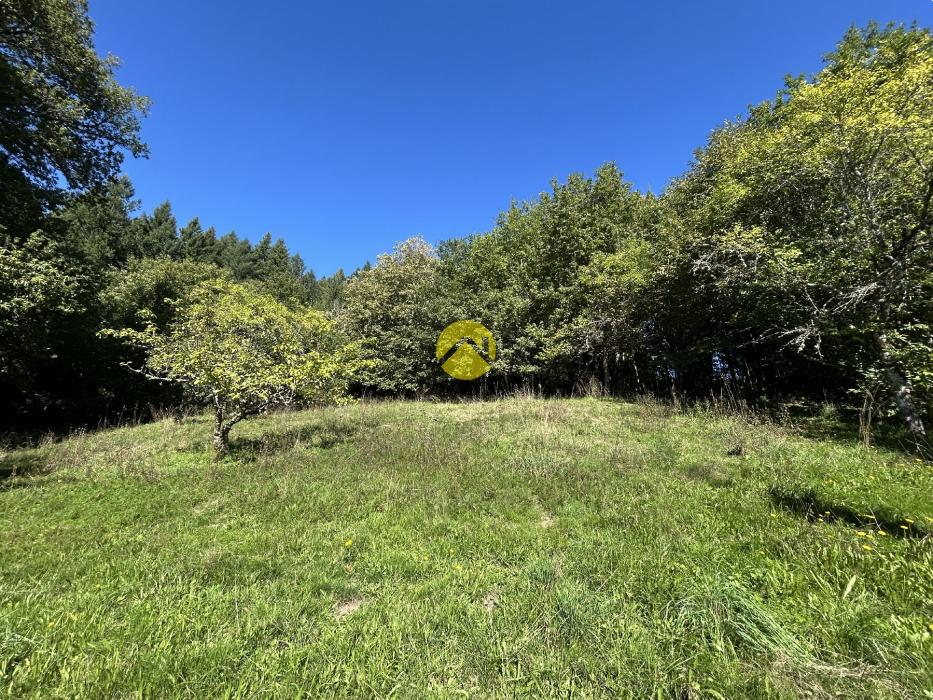 MAISON EN PIERRE SUPERBE VUE