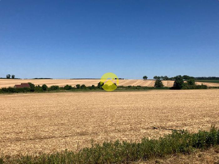 CONFORT ET CADRE CALME