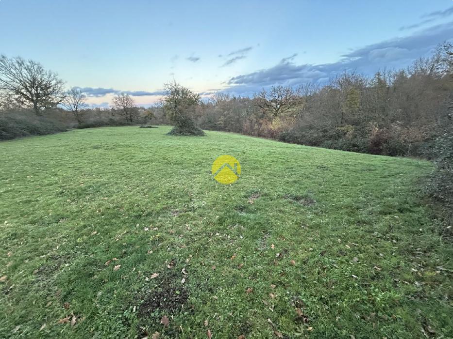 Terrain à bâtir + pré attenant