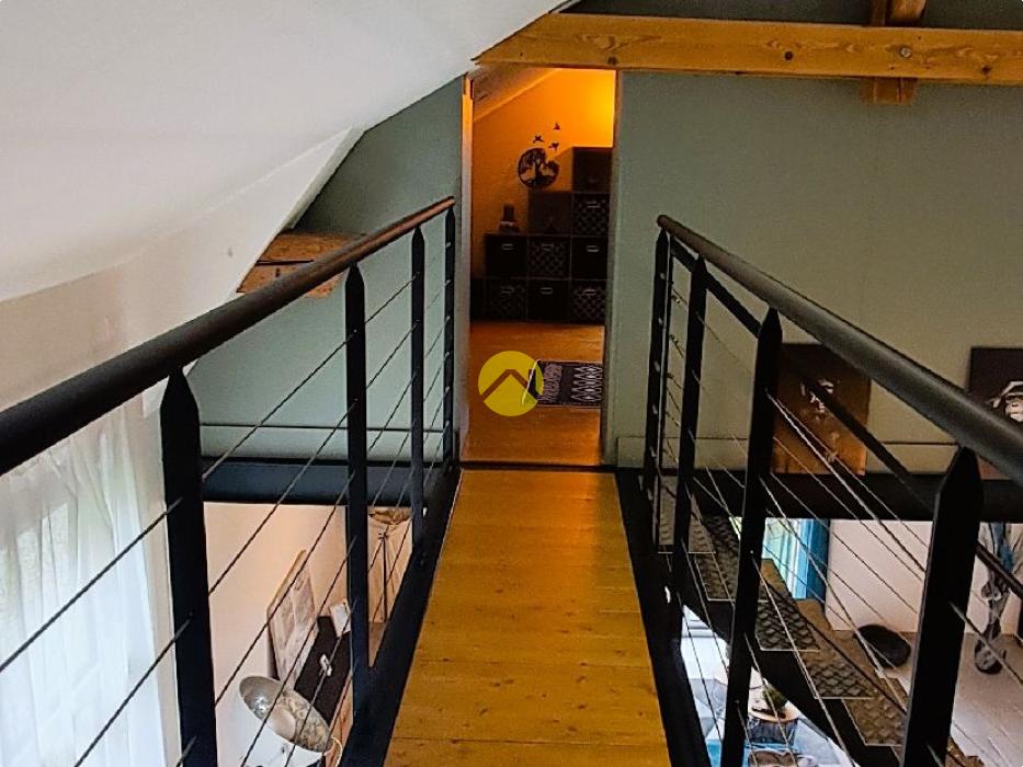 Maison+1 ha de terre+activité 