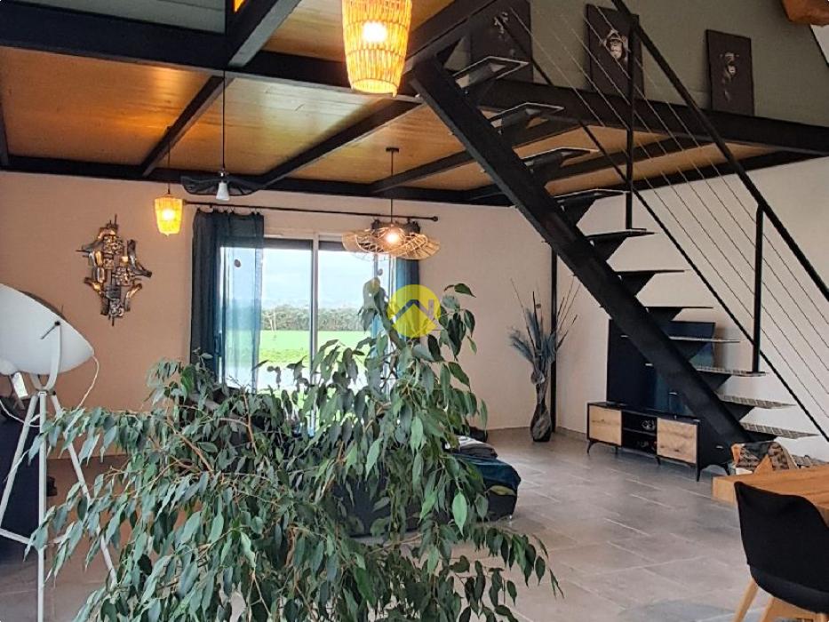 Maison+1 ha de terre+activité 