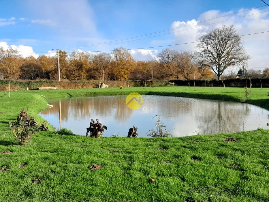 Maison+1 ha de terre+activité 