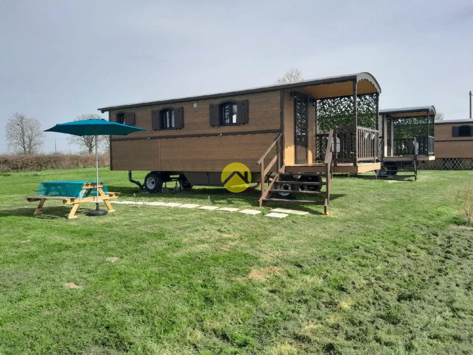 Maison+1 ha de terre+activité 