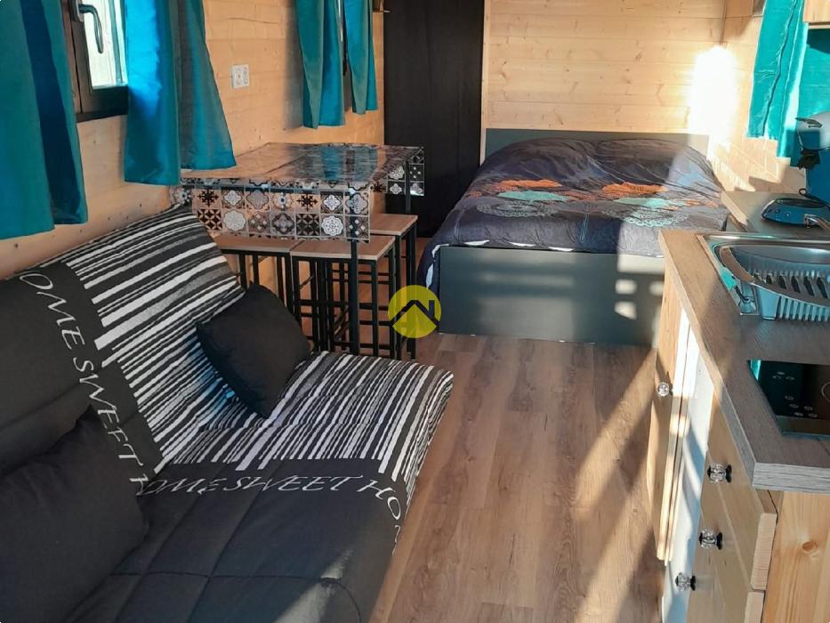 Maison+1 ha de terre+activité 