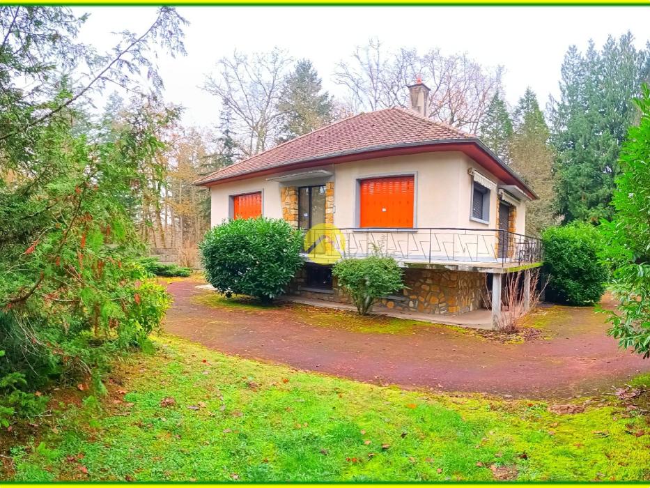 PROPRIETE DE CHARME-CHATEAU