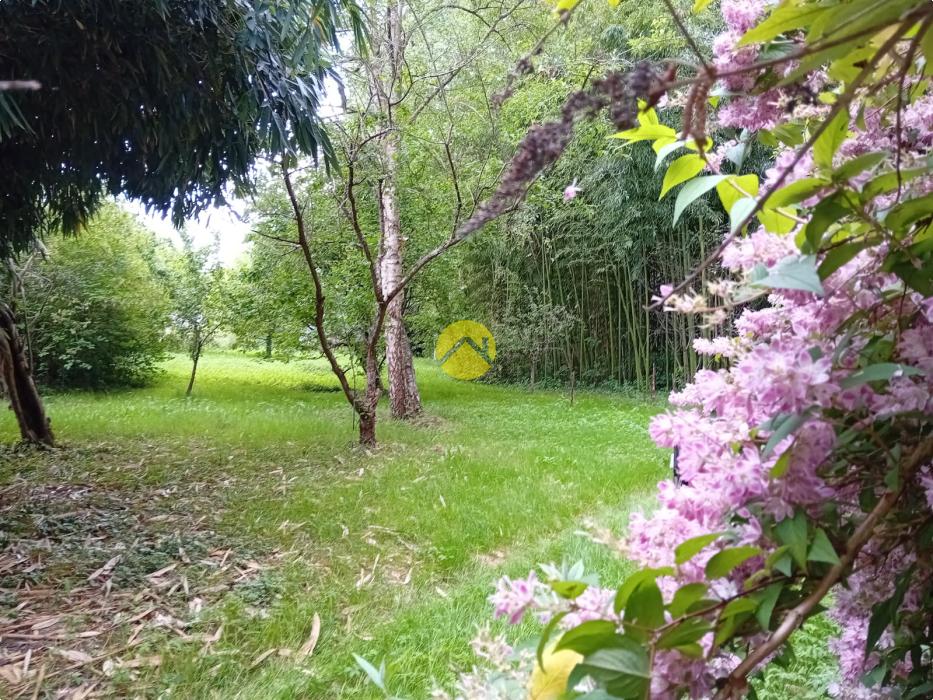 ET AU MILIEU COULE LA RIVIÈRE 