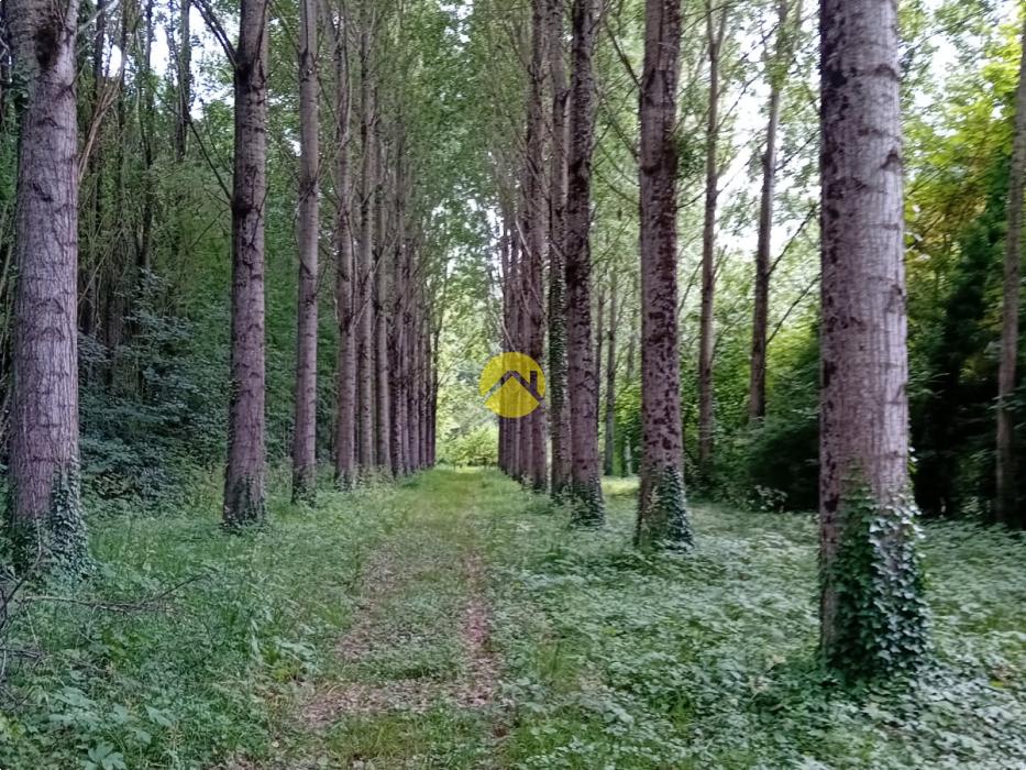 ET AU MILIEU COULE LA RIVIÈRE 