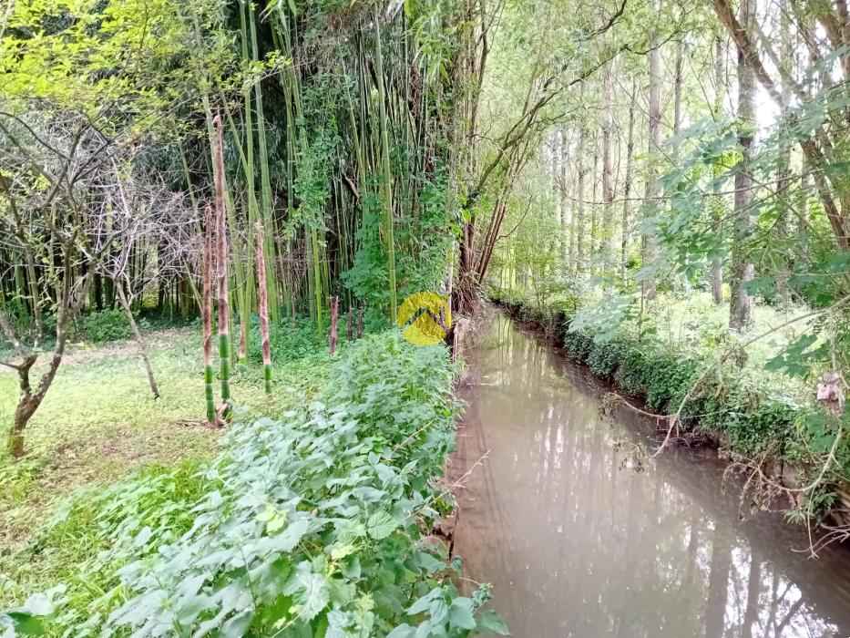 PROPRIETE DE CHARME-CHATEAU