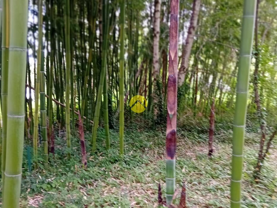 ET AU MILIEU COULE LA RIVIÈRE 