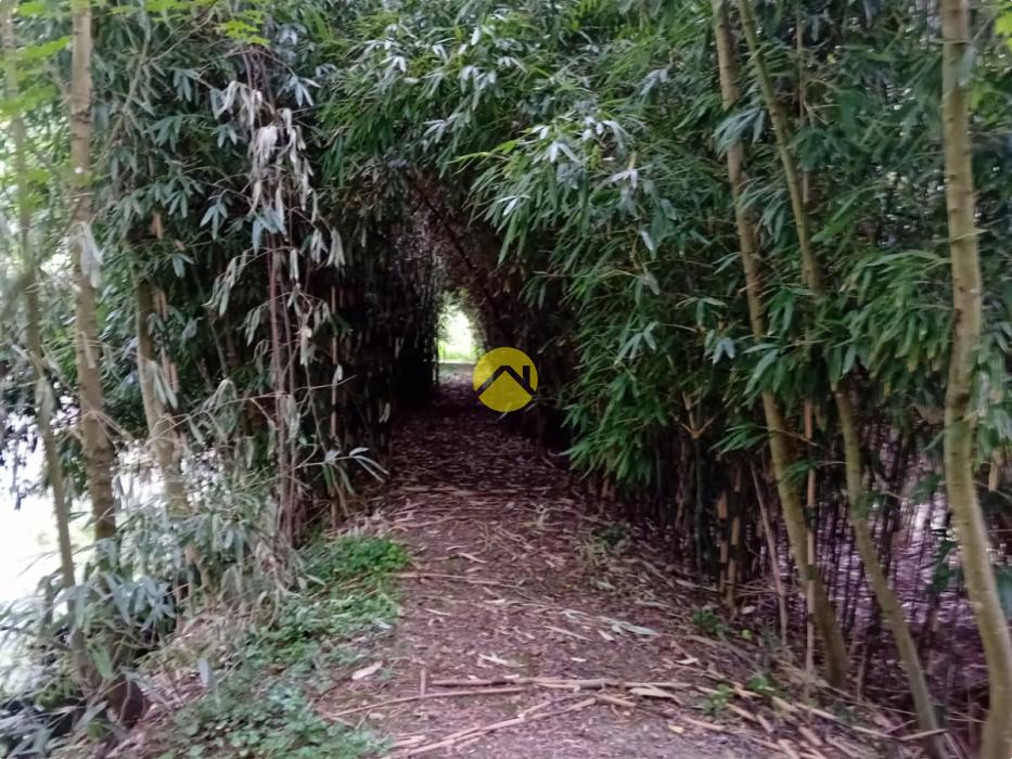 ET AU MILIEU COULE LA RIVIÈRE 