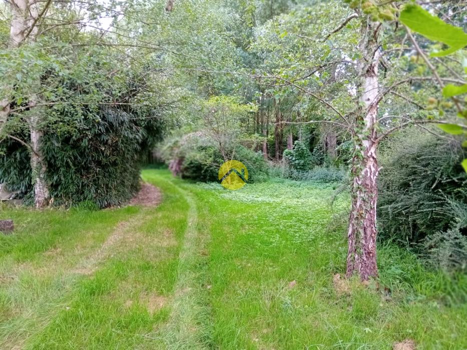 ET AU MILIEU COULE LA RIVIÈRE 