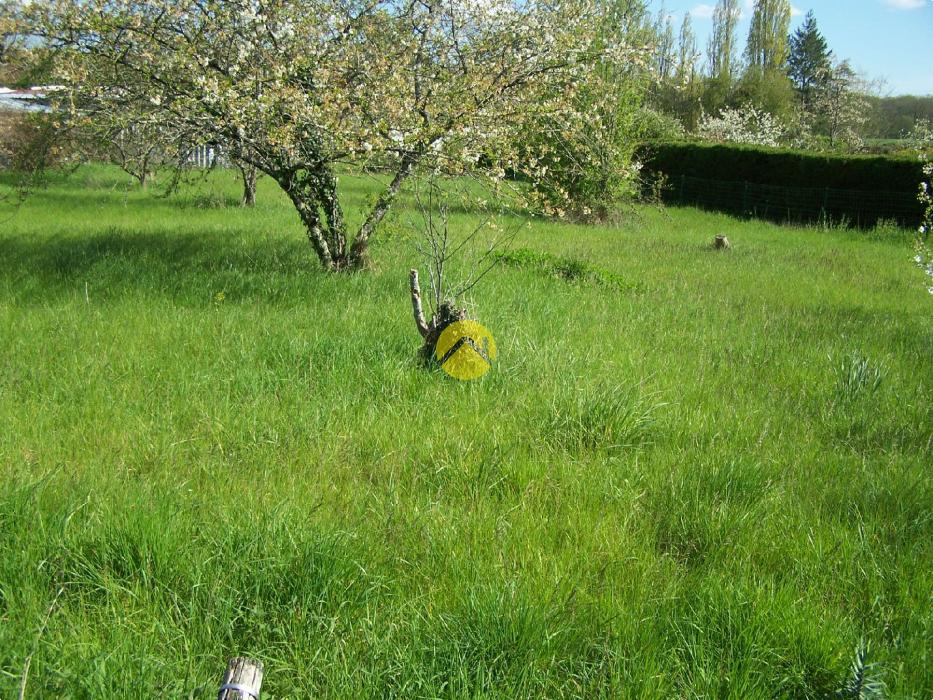 LE CALME DE LA  CAMPAGNE EN VILLE 