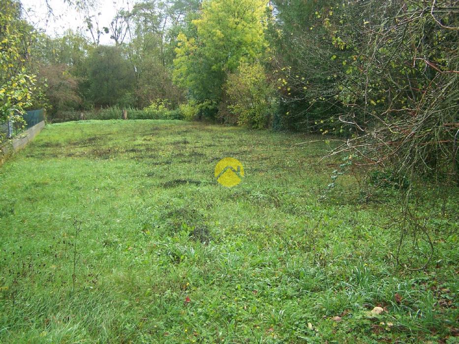 LE CALME DE LA  CAMPAGNE EN VILLE 
