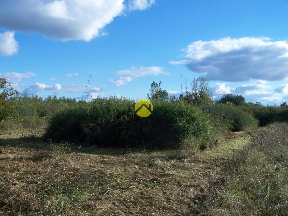 LE CALME DE LA  CAMPAGNE EN VILLE 