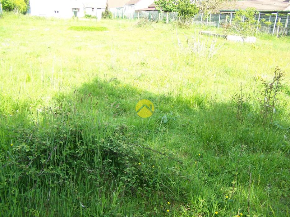 LE CALME DE LA  CAMPAGNE EN VILLE 