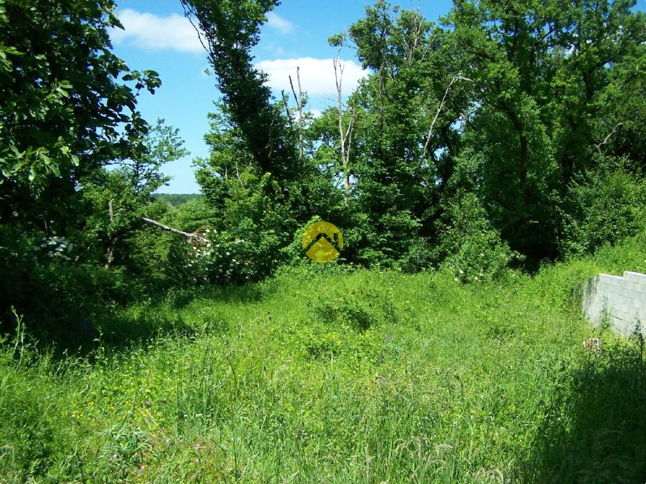 LE CALME DE LA  CAMPAGNE EN VILLE 