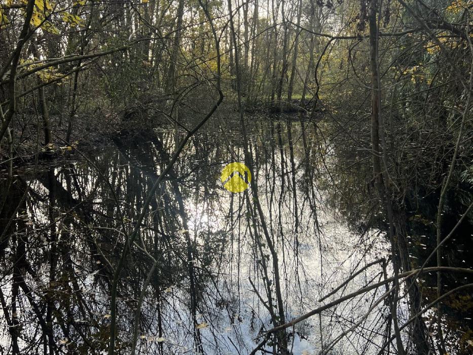 ET AU MILIEU COULE LA RIVIÈRE 