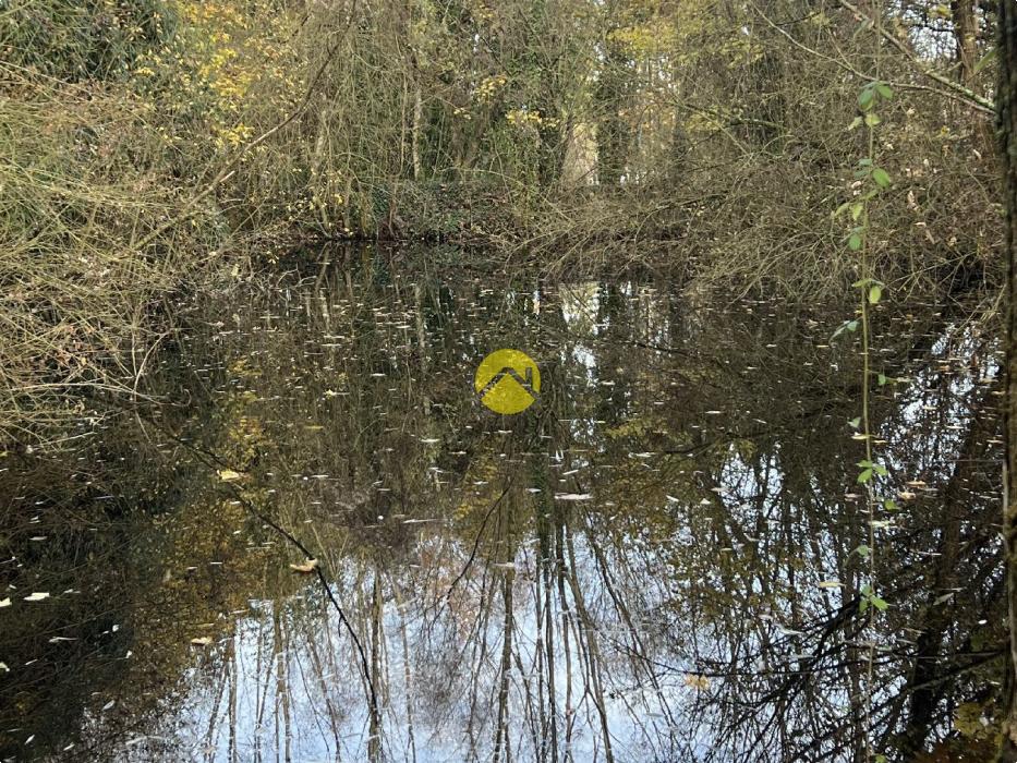 ET AU MILIEU COULE LA RIVIÈRE 