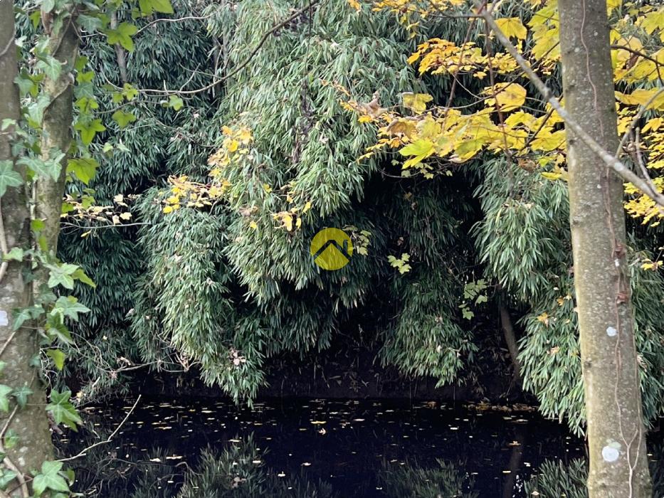 ET AU MILIEU COULE LA RIVIÈRE 