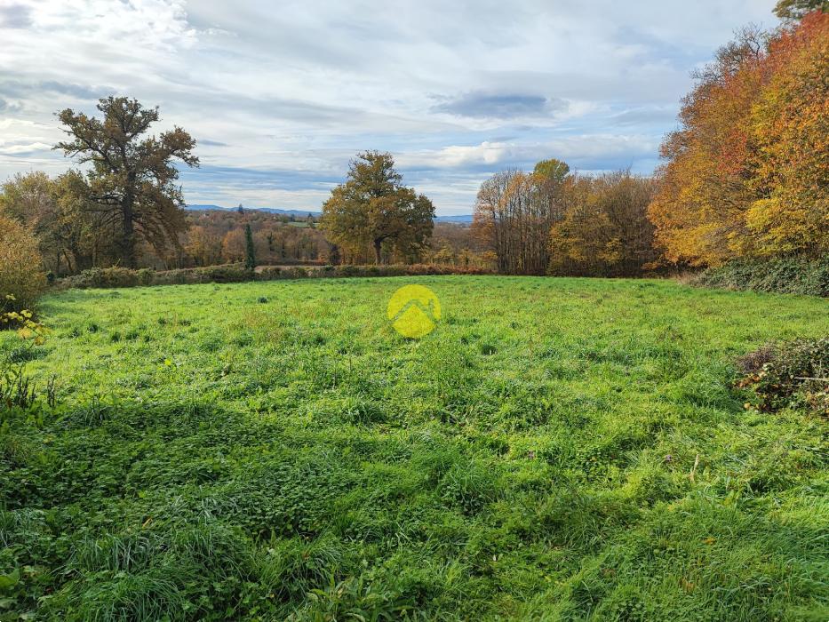 Jolie vue sur la Campagne...