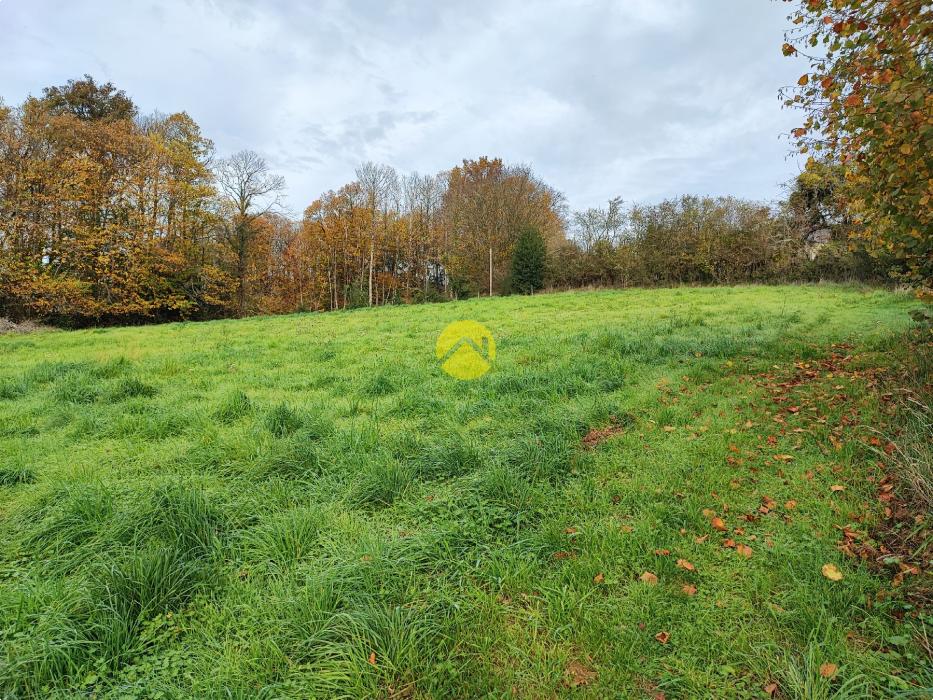 Jolie vue sur la Campagne...
